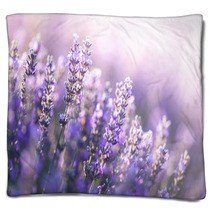 Close Up View Of Lavender In Provence France Blankets 203555264
