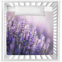 Close Up View Of Lavender In Provence France Nursery Decor 203555264