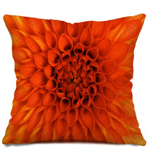Closeup Flower Pillows 64366316