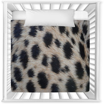 Closeup Fur Pattern Of The Cheetah Nursery Decor 68920347
