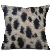 Closeup Fur Pattern Of The Cheetah Pillows 68920347