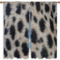 Closeup Fur Pattern Of The Cheetah Window Curtains 68920347