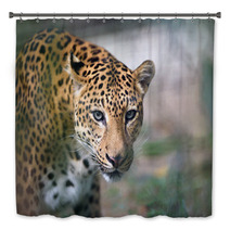 Closeup Jaguar Portrait Bath Decor 93748716