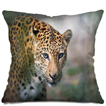 Closeup Jaguar Portrait Pillows 93748716