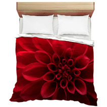 Closeup On Red Dahlia Flower Bedding 51400953