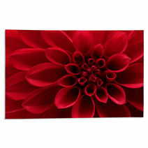 Closeup On Red Dahlia Flower Rugs 51400953