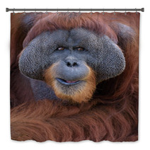 Closeup Portrait Of Adult Male Orangutan Bath Decor 85419551