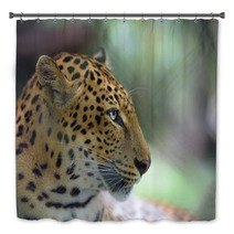 Closeup Portrait Of Jaguar Bath Decor 94797873