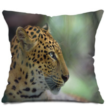 Closeup Portrait Of Jaguar Pillows 94797873