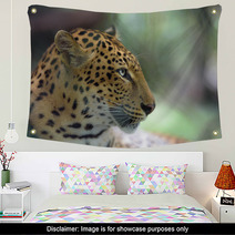 Closeup Portrait Of Jaguar Wall Art 94797873