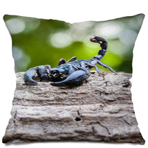Closeup View Of A Scorpion In Nature. Pillows 100432004