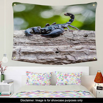 Closeup View Of A Scorpion In Nature. Wall Art 100432004