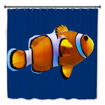 Clownfish. Vector Illustration. Isolated On Blue Bath Decor 64306307