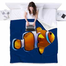 Clownfish. Vector Illustration. Isolated On Blue Blankets 64306307