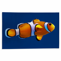 Clownfish. Vector Illustration. Isolated On Blue Rugs 64306307
