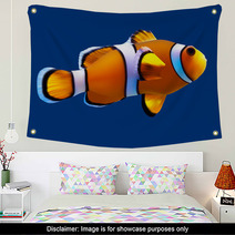 Clownfish. Vector Illustration. Isolated On Blue Wall Art 64306307