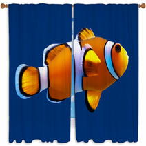 Clownfish. Vector Illustration. Isolated On Blue Window Curtains 64306307
