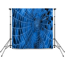 Cobweb With Dew Drops Backdrops 47344099