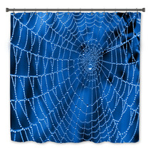 Cobweb With Dew Drops Bath Decor 47344099