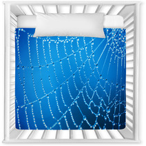 Cobweb With Dew Drops Nursery Decor 47344200