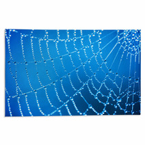 Cobweb With Dew Drops Rugs 47344200