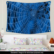 Cobweb With Dew Drops Wall Art 47344099