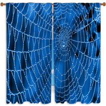 Cobweb With Dew Drops Window Curtains 47344099