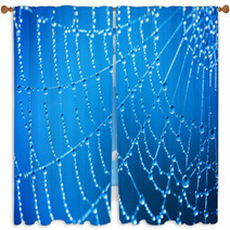 Cobweb With Dew Drops Window Curtains 47344200