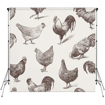 Cocks And Hens Backdrops 62573202