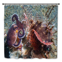 Coconut Octopus Fighting Against Scorpion Fish Bath Decor 98309147