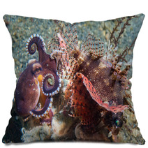 Coconut Octopus Fighting Against Scorpion Fish Pillows 98309147