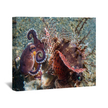 Coconut Octopus Fighting Against Scorpion Fish Wall Art 98309147