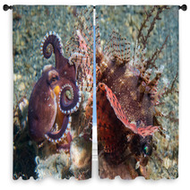 Coconut Octopus Fighting Against Scorpion Fish Window Curtains 98309147