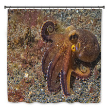 Coconut Octopus Underwater Portrait Bath Decor 63916912