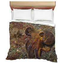 Coconut Octopus Underwater Portrait Bedding 63916912