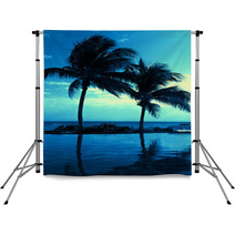 Coconut Tree Silhouette On The Beach Backdrops 68736905