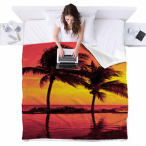 Coconut Tree Silhouette On The Beach Blankets 67600332