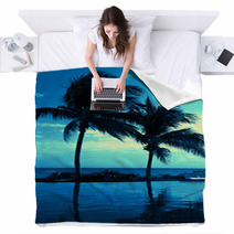 Coconut Tree Silhouette On The Beach Blankets 68736905