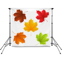Collection Of Color Autumn Leaves Backdrops 67576274