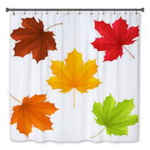 Collection Of Color Autumn Leaves Bath Decor 67576274