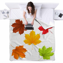 Collection Of Color Autumn Leaves Blankets 67576274