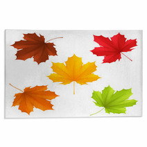 Collection Of Color Autumn Leaves Rugs 67576274