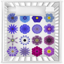 Collection Various Blue Concentric Flowers Isolated On White Nursery Decor 70388495