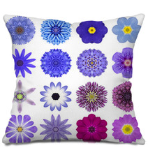 Collection Various Blue Concentric Flowers Isolated On White Pillows 70388495