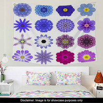 Collection Various Blue Concentric Flowers Isolated On White Wall Art 70388495