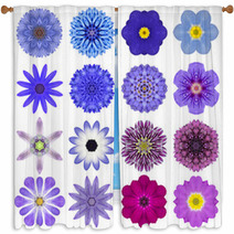 Collection Various Blue Concentric Flowers Isolated On White Window Curtains 70388495