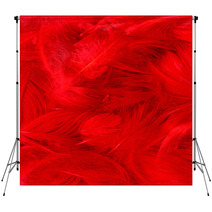 Color Feathers Backdrops 66271885