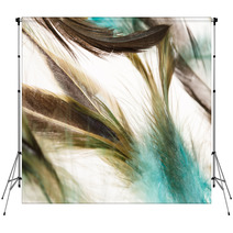 Color Feathers Backdrops 66271909