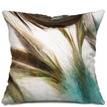 Color Feathers Pillows 66271909