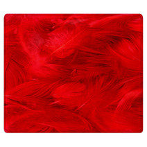 Color Feathers Rugs 66271885